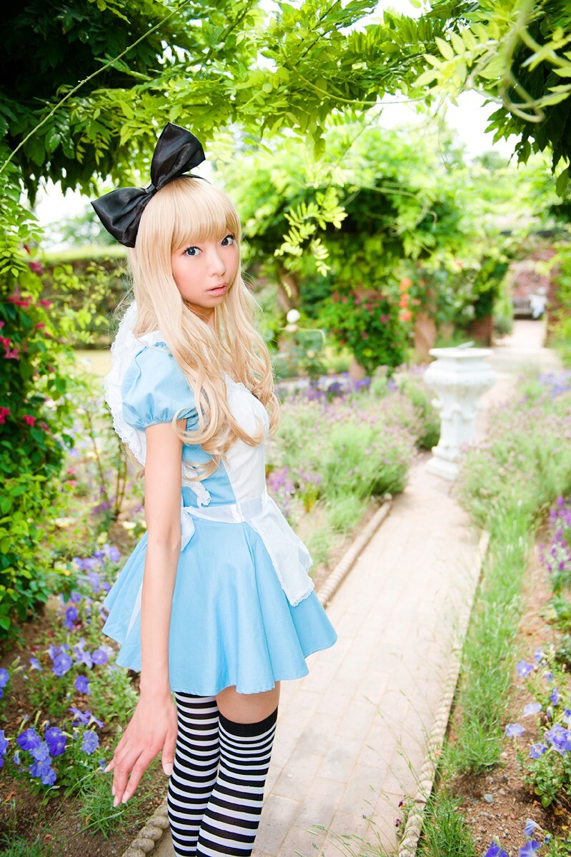cosplay套图 c78 NECOCO.in.Wonderland